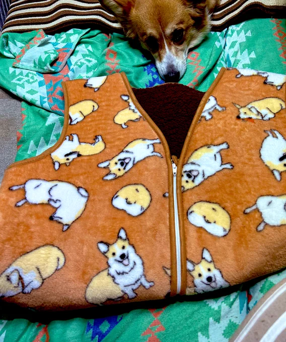 旅先でスリーパー買った笑 
