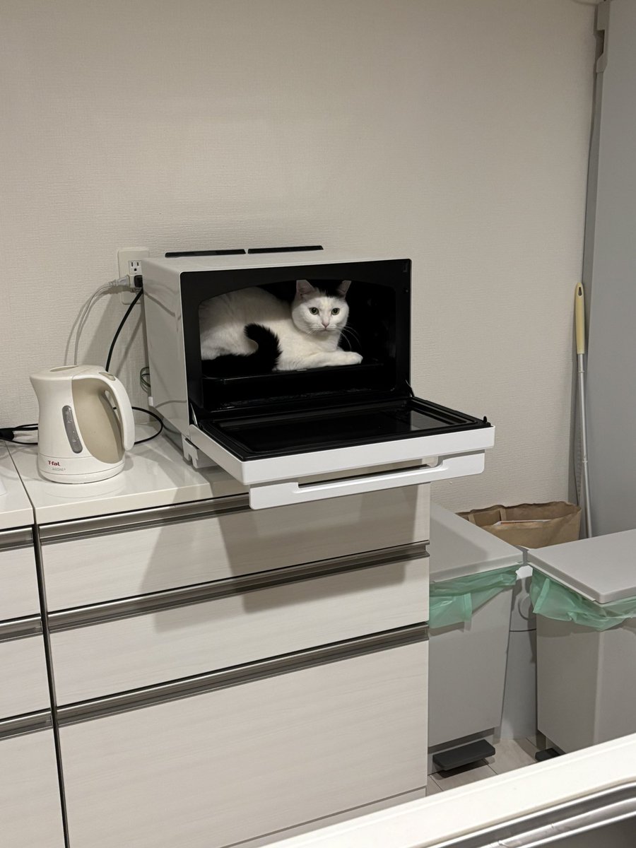 マジで何してんの？