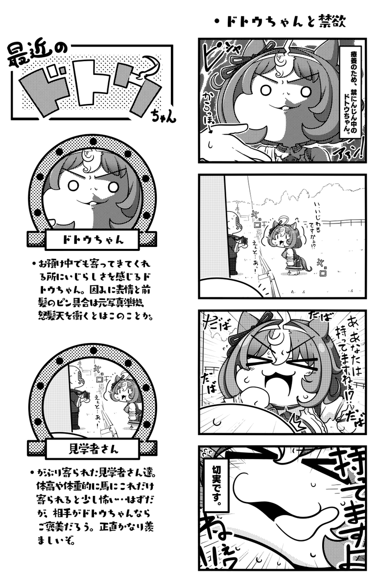 #2024年自分が選ぶ今年の4枚 
この四枚! 