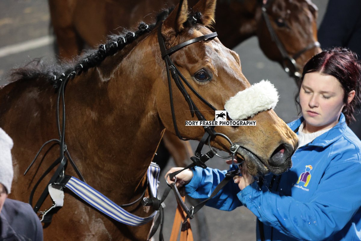 Rory Fraser Photography🤘 (@92roryf) on Twitter photo Third at Newcastle on Saturday in the class six handicap (7f), KEEP ME STABLE (Galileo Gold x Sketching)
Trained by <a href="/LindaPerratt/">Linda perratt racing</a>, owned by The Hon Miss Heather Galbraith and ridden by <a href="/tommie_jakes/">Tommie Jakes</a>
A four time winner to date, with three coming at Newcastle. Third at Newcastle on Saturday in the class six handicap (7f), KEEP ME STABLE (Galileo Gold x Sketching)
Trained by <a href="/LindaPerratt/">Linda perratt racing</a>, owned by The Hon Miss Heather Galbraith and ridden by <a href="/tommie_jakes/">Tommie Jakes</a>
A four time winner to date, with three coming at Newcastle.