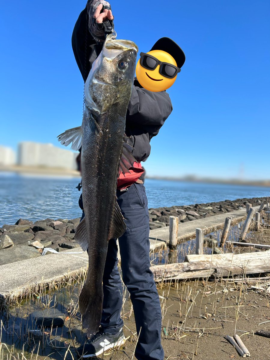 _Agoago3's tweet photo. #2024年のベスト釣果を4枚で振り返る

①ショアキハダ(30kg)
②湾奥メーターシーバス(105cm)
③ランカーシーバス(85cm)
④人生初アオリイカ
たくさん遠征に行くことができ、運にも恵まれた一年間だった。どの釣果も本当に最高の思い出。 https://t.co/DKJZxSWZUN
