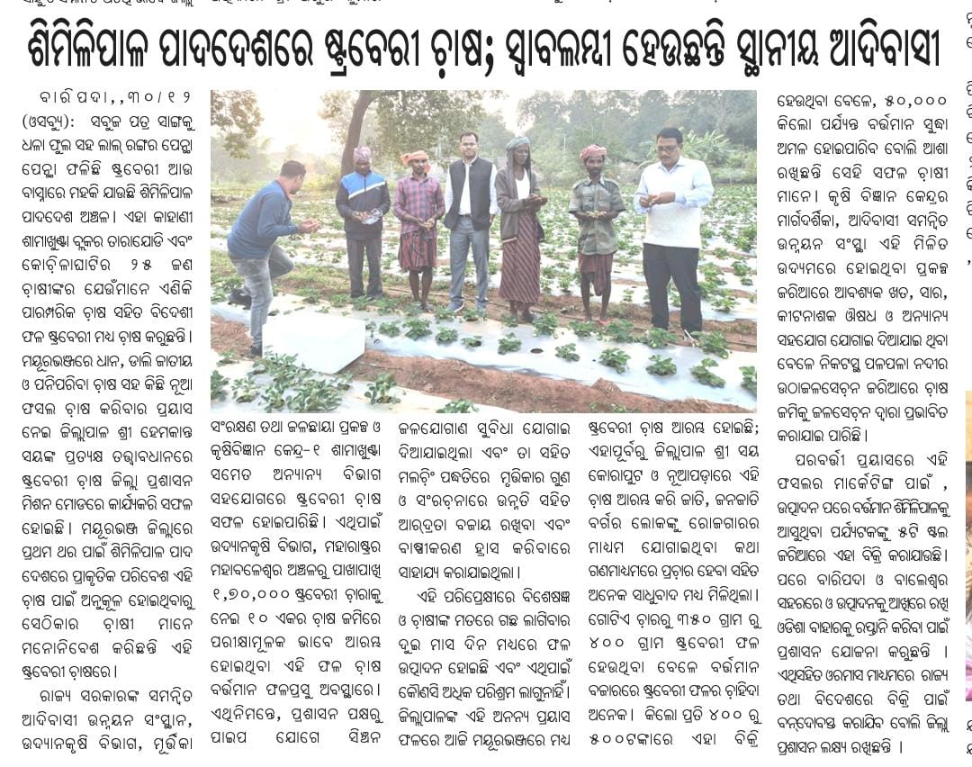 ସବୁଜ ପତ୍ର ସାଙ୍ଗକୁ ଧଳା ଫୁଲ ସହ ଲାଲ୍ ରଙ୍ଗର ପେନ୍ଥା ପେନ୍ଥା ଫଳିଛି ଷ୍ଟ୍ରବେରୀ ଆଉ ବାସ୍ନାରେ ମହକି ଯାଉଛି ଶିମିଳିପାଳ ପାଦଦେଶ ଅଞ୍ଚଳ। ଏଇ କାହାଣୀ ଶାମାଖୁଣ୍ଟା ବ୍ଲକର ତାରାଯୋଡି ଏବଂ କୋଚିଳାଘାଟିର ... ଯେଉଁଠି ଜିଲ୍ଲାପାଳଙ୍କ ପ୍ରତ୍ୟକ୍ଷ ପ୍ରଚେଷ୍ଟା ଦ୍ୱାରା ହସ ଫୁଟୁଛି ଆଦିବାସୀ ଚାଷୀଙ୍କ ମୁହଁରେ 

ଖବରକାଗଜ ପୃଷ୍ଠାରୁ କିଛି...