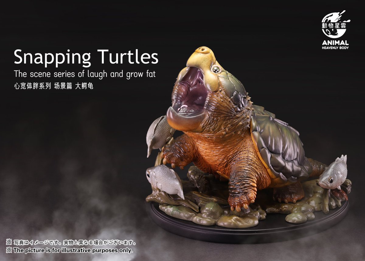 The new product scene of Snapping Turtles is  available for pre-order now！