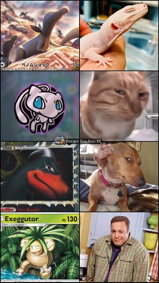 Eclipse『ズルム』 tweet media