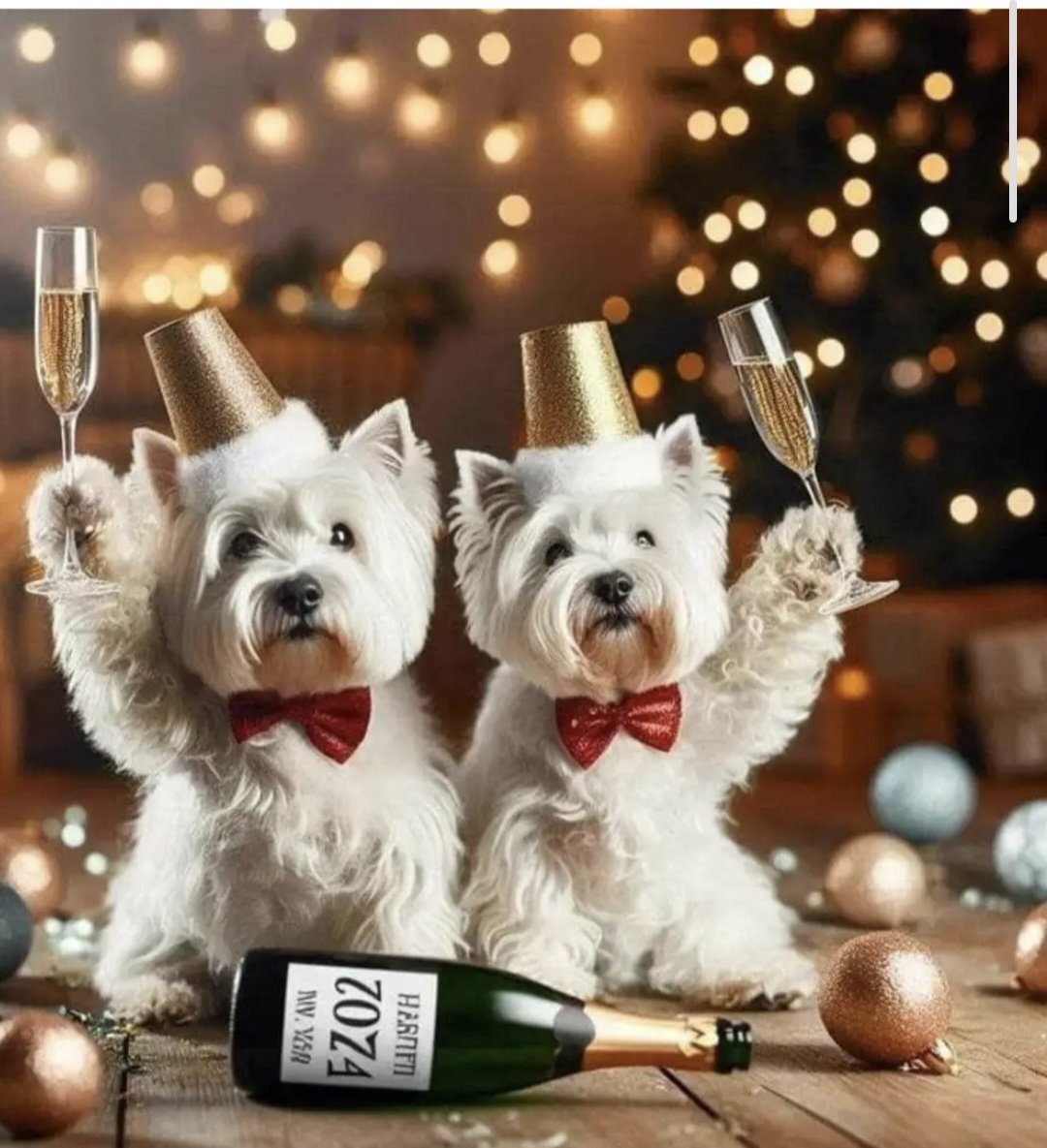 Dr Marie-Louise Luiking RN (@marielouiselui1) on Twitter photo Happy New Year to all who follow on X <a href="/HeaslipVanessa/">Professor Vanessa Heaslip</a> <a href="/AnaChoperena/">Ana Choperena</a> <a href="/KarenHMorin1/">KarenMorin</a> <a href="/sbibb_bibb/">Sandra Bibb</a> <a href="/AqOrdine/">ORDINE PROFESSIONI INFERMIERISTICHE AQ</a> <a href="/milkozanini/">Milko Patrick Zanini</a> <a href="/MrsBosanquet/">V.Prof Joanne Bosanquet MBE RN FRCN FQICN 🏳️🌈</a> @Helena38476688 <a href="/Gerardina77/">Gerardina Harnett</a> <a href="/kagily/">Ilya Kagan</a> <a href="/lizkingston/">Dr Liz Kingston</a> <a href="/parveenazamali/">Prof Parveen Ali</a> <a href="/marco_dinitto/">Marco Di Nitto</a> <a href="/MaNagorska/">Małgorzata Nagorska</a> <a href="/shena_rnphd/">Shena Gazaway</a> <a href="/LouiseMew/">Louise Mew</a> <a href="/marco_tomietto/">Marco Tomietto</a> <a href="/MonicaBianchi17/">Monica Bianchi</a> Happy New Year to all who follow on X <a href="/HeaslipVanessa/">Professor Vanessa Heaslip</a> <a href="/AnaChoperena/">Ana Choperena</a> <a href="/KarenHMorin1/">KarenMorin</a> <a href="/sbibb_bibb/">Sandra Bibb</a> <a href="/AqOrdine/">ORDINE PROFESSIONI INFERMIERISTICHE AQ</a> <a href="/milkozanini/">Milko Patrick Zanini</a> <a href="/MrsBosanquet/">V.Prof Joanne Bosanquet MBE RN FRCN FQICN 🏳️🌈</a> @Helena38476688 <a href="/Gerardina77/">Gerardina Harnett</a> <a href="/kagily/">Ilya Kagan</a> <a href="/lizkingston/">Dr Liz Kingston</a> <a href="/parveenazamali/">Prof Parveen Ali</a> <a href="/marco_dinitto/">Marco Di Nitto</a> <a href="/MaNagorska/">Małgorzata Nagorska</a> <a href="/shena_rnphd/">Shena Gazaway</a> <a href="/LouiseMew/">Louise Mew</a> <a href="/marco_tomietto/">Marco Tomietto</a> <a href="/MonicaBianchi17/">Monica Bianchi</a>