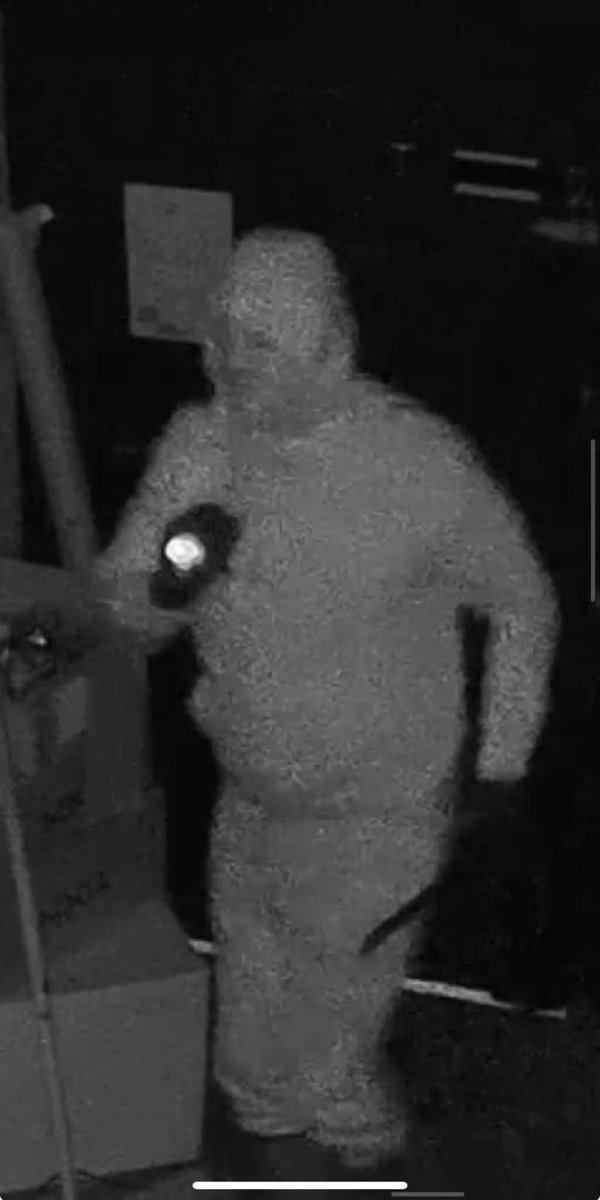 MissingPetsGB's tweet photo. URGENT Stolen - 7 lurcher puppies, still feeding from their mother😔

Stolen 28 December 2024 at 22.50pm from Shroton #Dorset #DT11
If anyone knows anything please contact @dorsetpolice asap
Reward available. 
Vehicle - white Audi and the man in the images below👇 https://t.co/ubA1EpRT0K