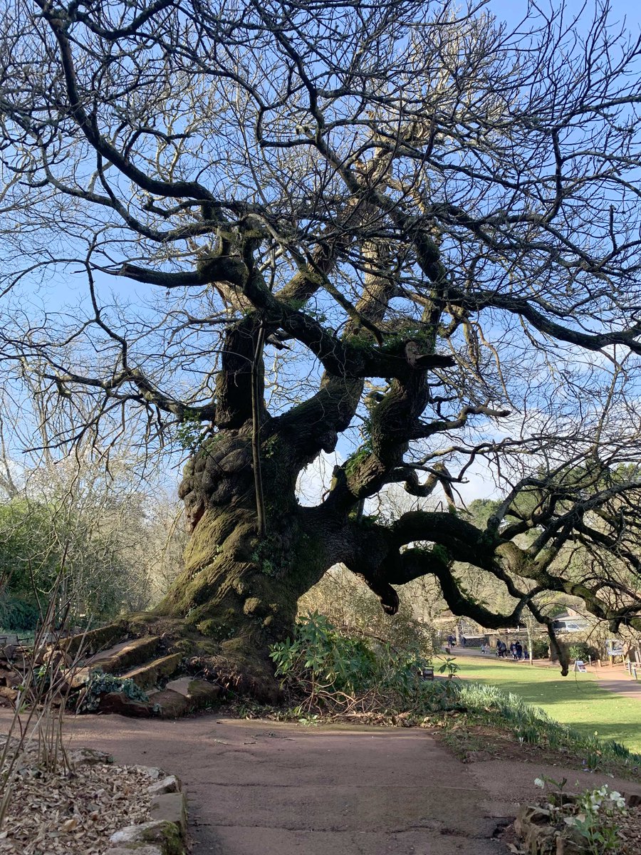 JBPhotos tweet media