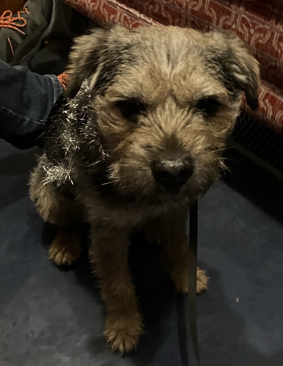 mr and mrs thomas tweet media