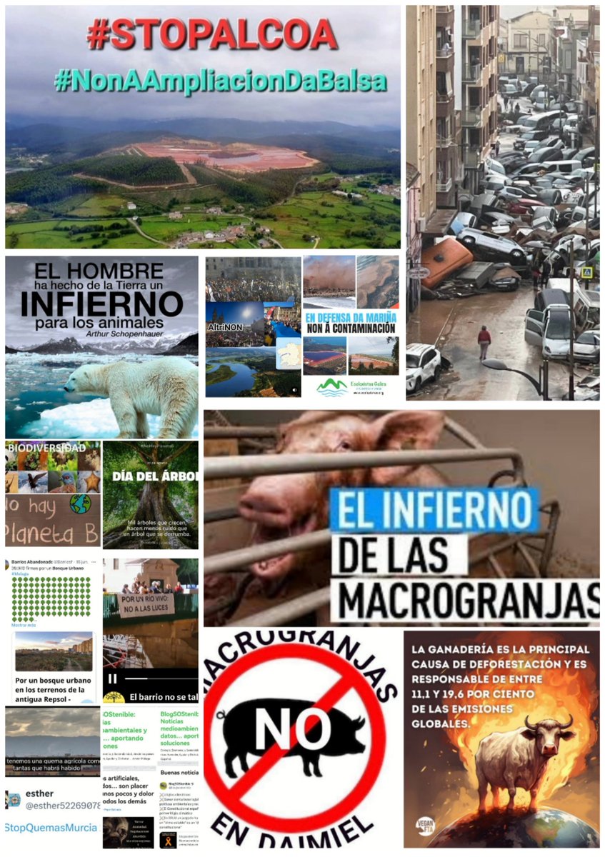 #FelizAño
Juntos seguiremos luchando  contra del cambio climático y la injusticia ambiental 
Defendiendo nuestra tierra de negocios abominables 
Prevenir para no lamentar muertes ni de humanos ni de animales
Recordad
#NoHayPlanetaB
 Escribe el hashtag con el que te identificas