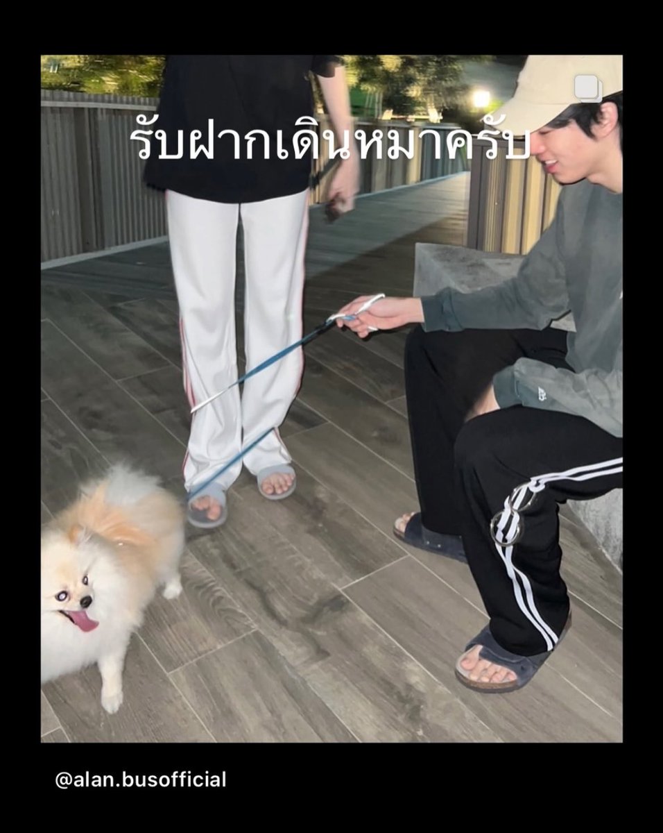 รับฝากหมาเดิน❌❌❌
รับฝากเดินหมา✅✅✅