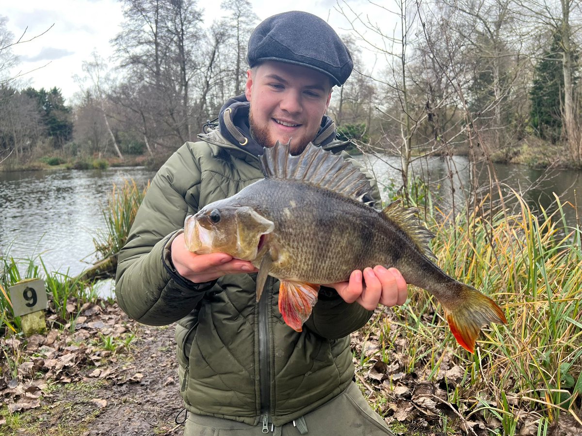 bobbysdyer14's tweet photo. Proper chuffed with this and a lovely way to end the year #3lb #perch #fishing https://t.co/HSPqaPfxSB
