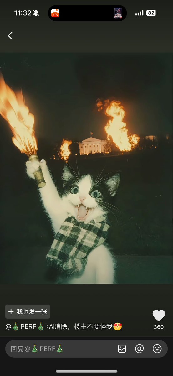 祝大家元旦快乐！新的一年小姜会猛猛更新的（应该）！