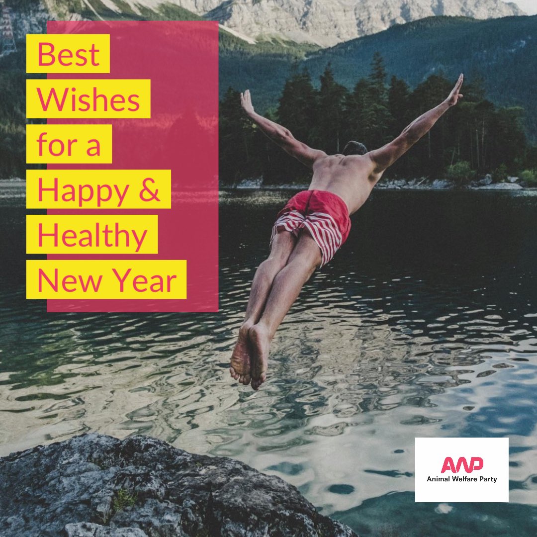 ✨Happy New Year to all Animal Welfare Party members &amp; supporters.
👏🏽Hats off to all trying something new in 2025. 
🏵️ Looking for a new challenge? Could you stand as a candidate for AWP in local elections in May? 
👉🏽More at: animalwelfareparty.org/current-electi… 

#HappyNewYear #2025goals