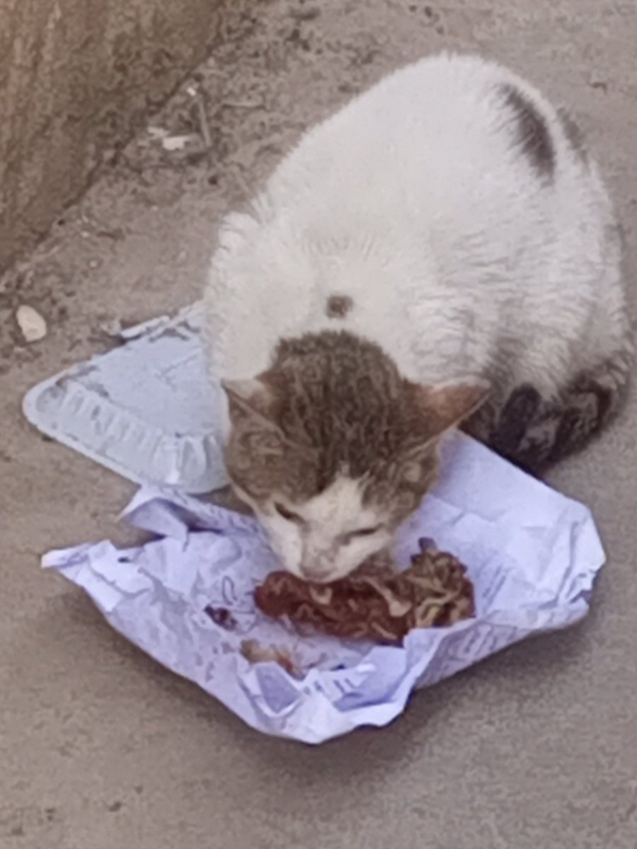 في كل كبد رطبة أجر ....لا تحتقر القليل لاني سأحتاجه يوم الحشر ..