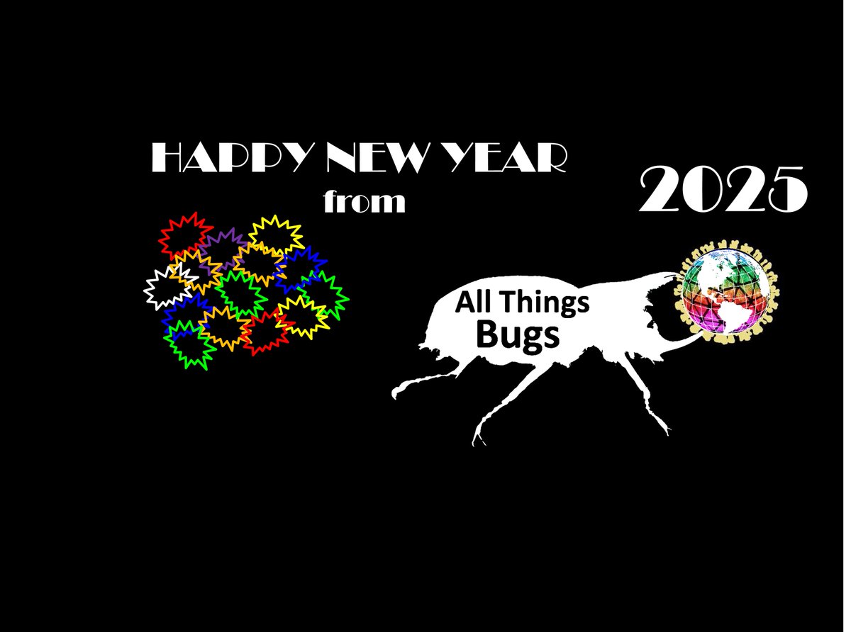 🌟🎉 Happy New Year 2025! 🎉🌟
We’re aiming higher than ever—scaling sustainable food innovations🌍✨
We’re seeking visionary #investors to create a greener, healthier future🚀
💚 Cheers to hope, growth, &amp; impact!
👉 allthingsbugs.com
#NewYear #NYE #HappyNewYear #impact