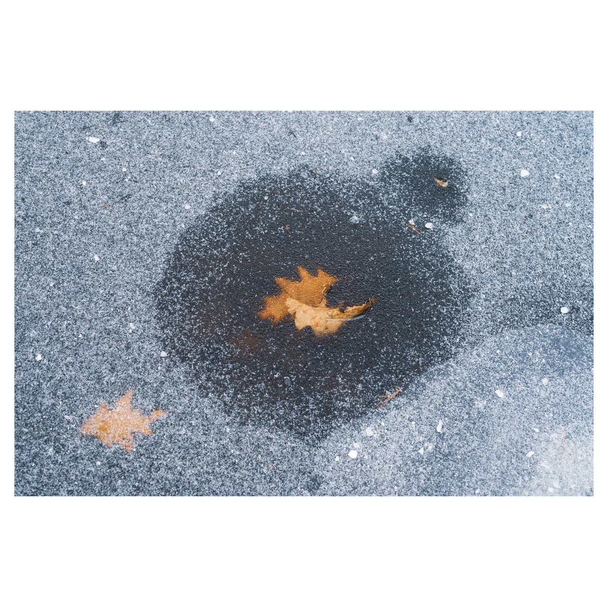 Seasons change. Nikon Zf, Nikkor Z 50mm f/1.8 S lens.