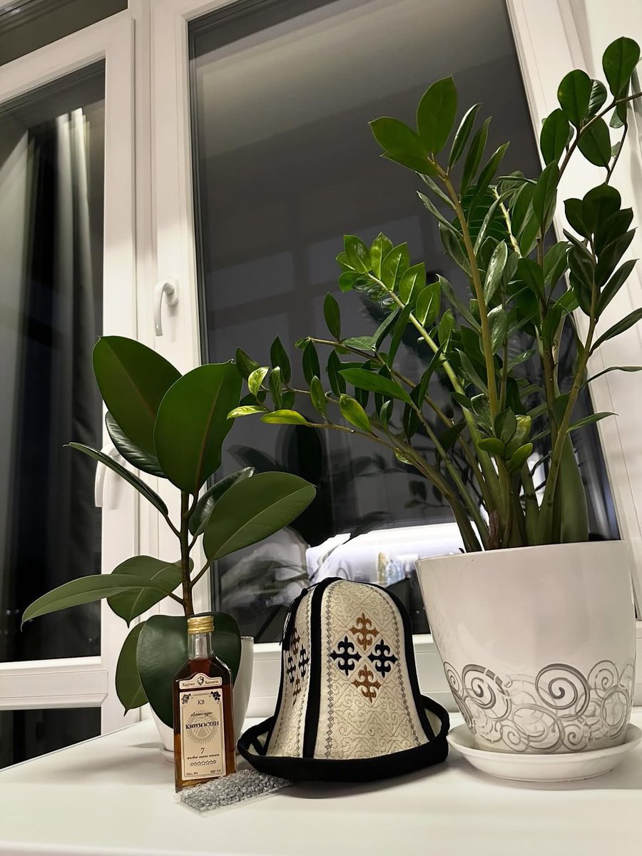 Bektur1130 (@bektur1130) on Twitter photo 