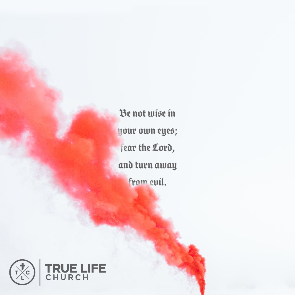 FindTrueLifeCC's tweet image. 