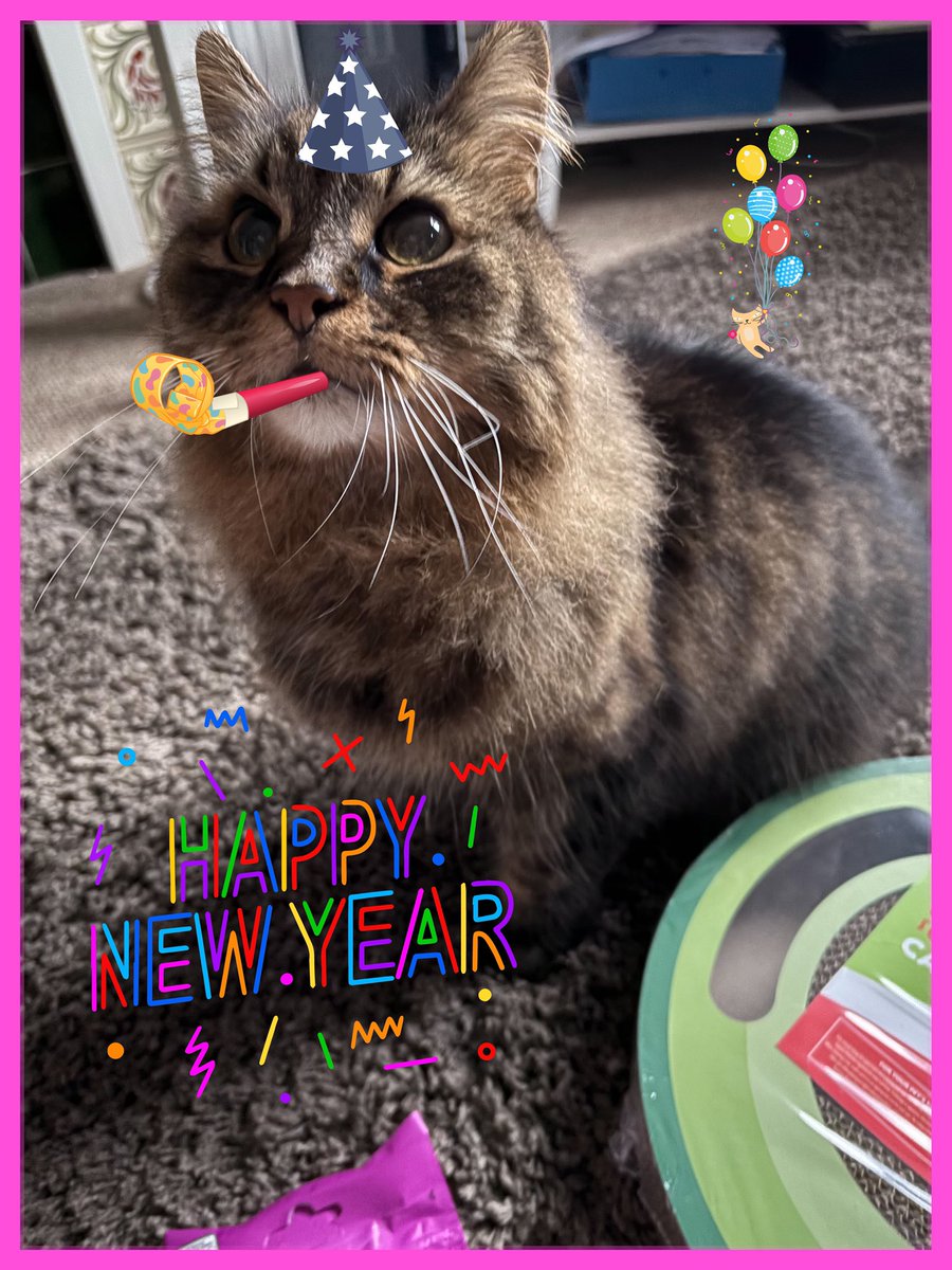 HNY 🥳🥳🎊🎊🎉🎉#CatsOfX #CatsofTwittter #newyearseve #NewYear2025 #partycat #superseniorcatsclub