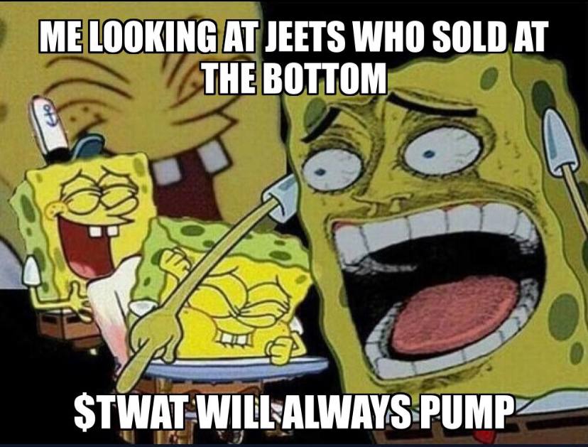 Were almost 50% Bonded, and were holding our $TWAT! come get you some twat coin and hold your $TWAT with us! #SOL #BTC #ETH #SOLTRAIN #CRYTPO #TWATCOIN #TOTHEMOON 

dexscreener.com/solana/72ilouz…