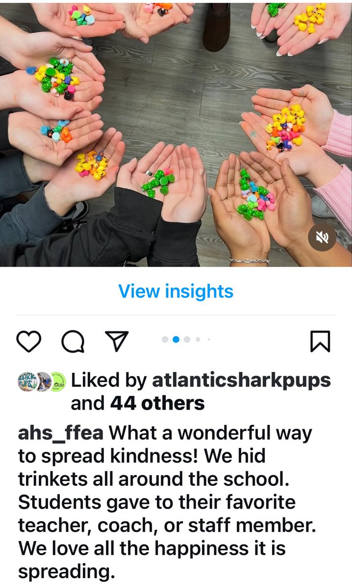 Atlantic High FFEA (@ffeahigh) on Twitter photo 
