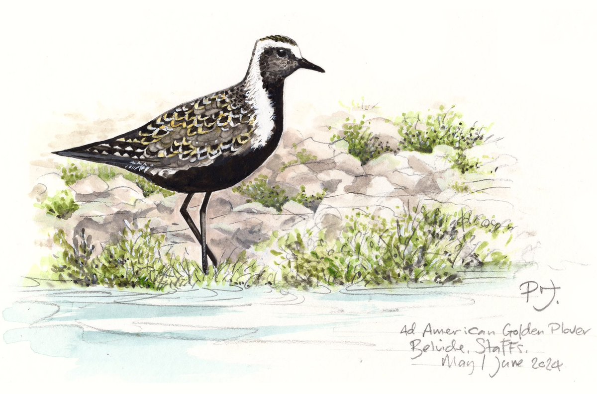 Phil Jones tweet media