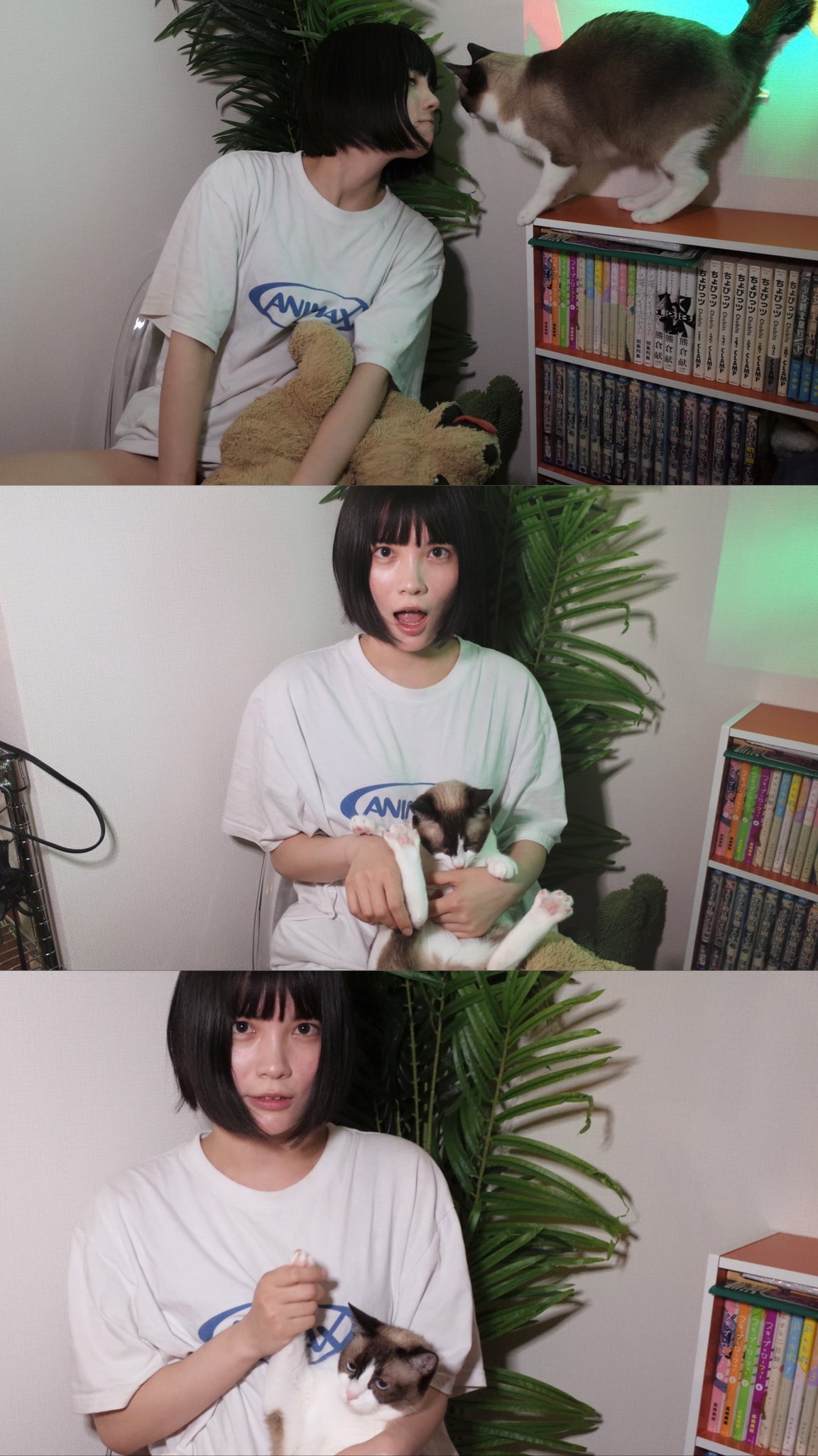 ごいちー❤️ラヴ・ミー on X: 