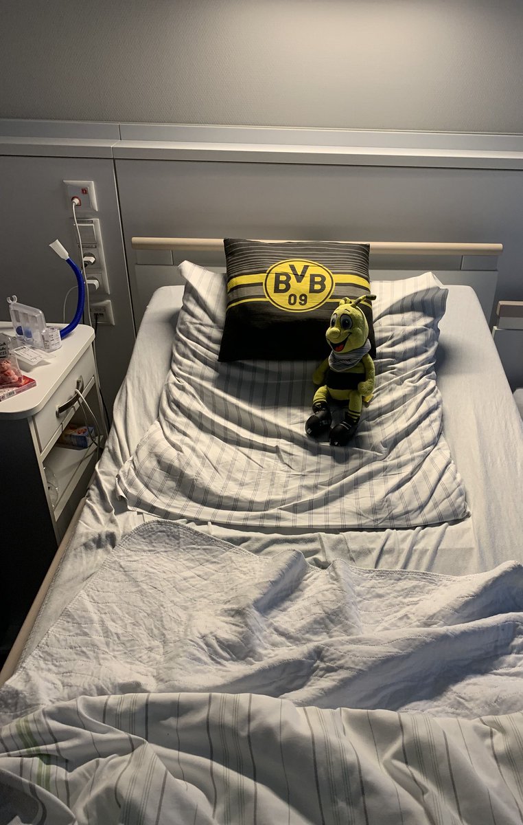 Pettra09 tweet media