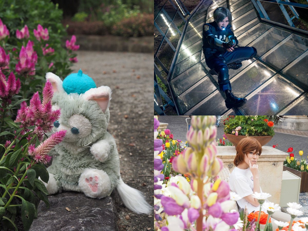 リン酸カメラ垢 tweet media