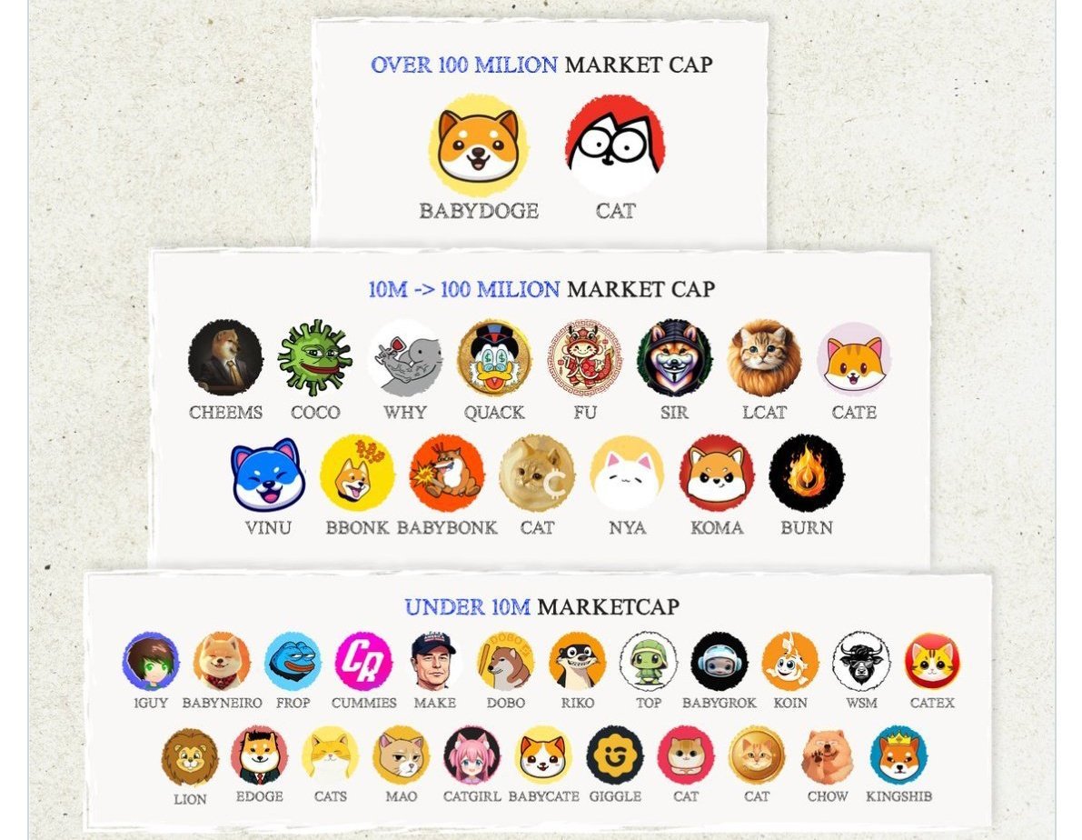 Which of these are you most excited about?