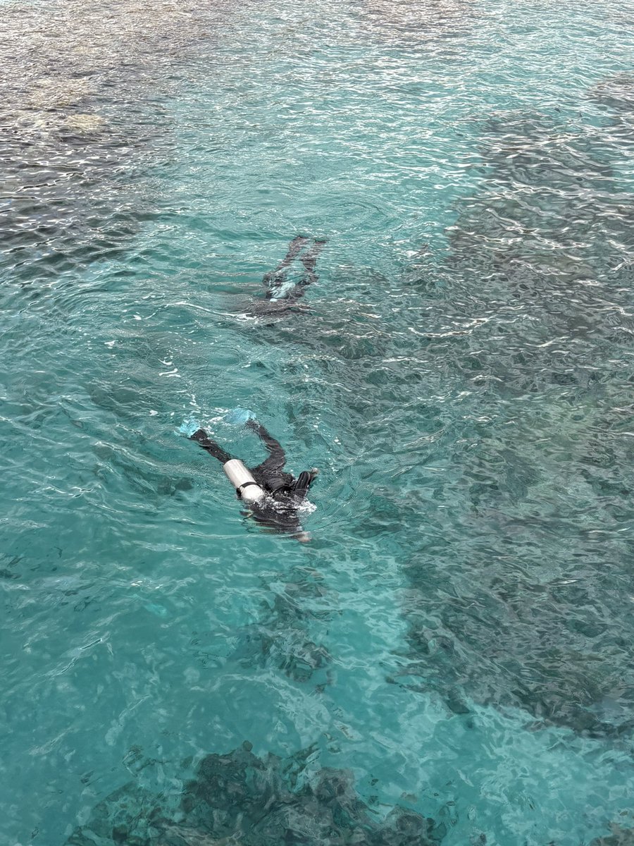 •שירותים בתצפית המצפה התת ימי•

יתרונות: יש נייר, יפה בחוץ
חסרונות: מלוכלך, אין נייר לניגוב ידיים, אין מייבש ידיים, התאים קטנטנים 

2/10