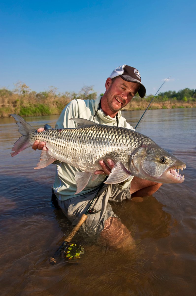 flyfishingshow's tweet photo. Want in on the action? Attend one of our 2025 Fly Fishing Shows, and you could win a $1,500 Yellow Dog Gift Certificate toward the fishing trip of your dreams! https://t.co/GmvaX71bMT