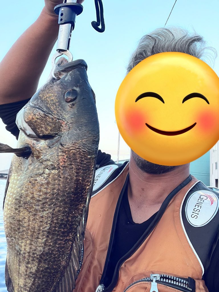 tekapu_twitch's tweet photo. 今年の趣味統括
【釣り】
釣行26回　チヌ最大46センチ　ヒラメ68センチ
1釣行最多　アジ60 イワシ150

【ゲーム】
スト6 ガイルMR1700
龍が如くシリーズ全制覇
TFTプラチナ1
タルコフ　カッパ取得

来年は釣り関係の商品扱いたい

今年1年ありがとうございました！ https://t.co/HlUh3uOSsh