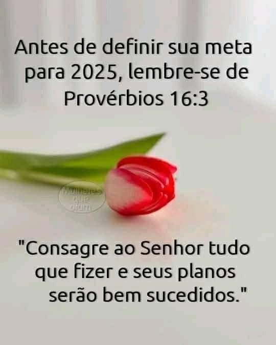 Eliana Wellensohn (@eliana48914238) on Twitter photo 