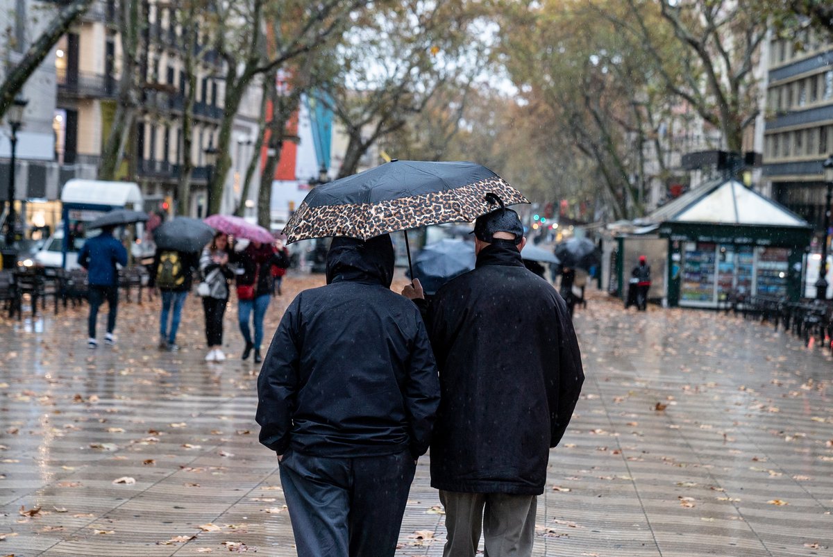 BCN_digital's tweet image. A #OpenDataBCN pots consultar les dades referents a temperatures des de 1780 i precipitacions des de 1786 a la ciutat de Barcelona. 

🔗 opendata-ajuntament.barcelona.cat/data/ca/datase…