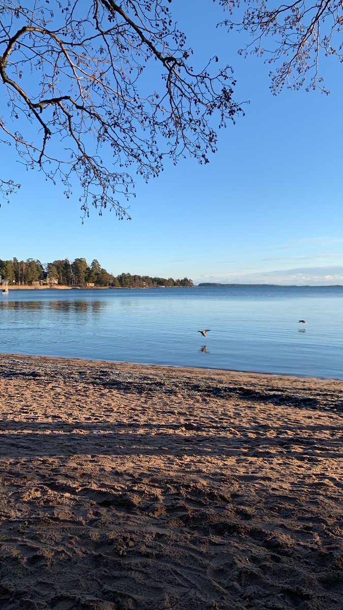 Anne Lempinen tweet media