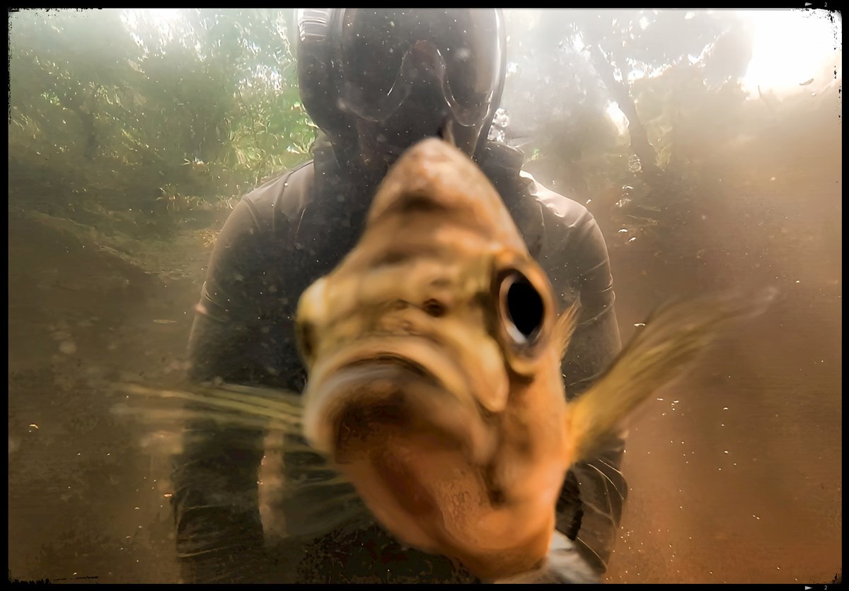 TheCodexBellum's tweet image. “Adventure itself prefers to remain dormant, featureless, and nameless; it is the adventurer who must awaken adventure, embody it, and remind it its name”  Brian S Woods, The Codex Bellum: Iron Wrapped In Cotton  #Motivation #MotivationalQuotes