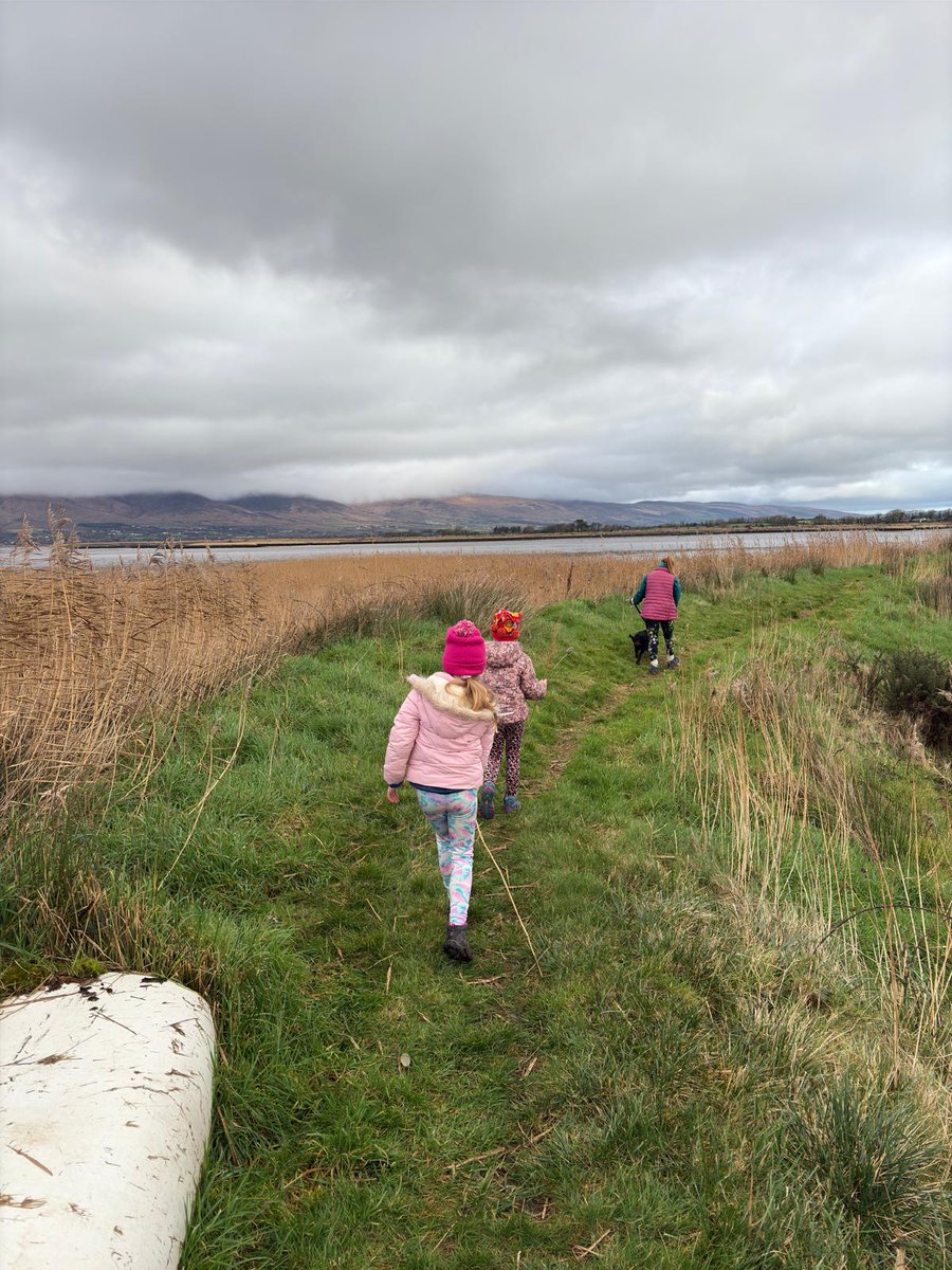 Christmas in Kerry