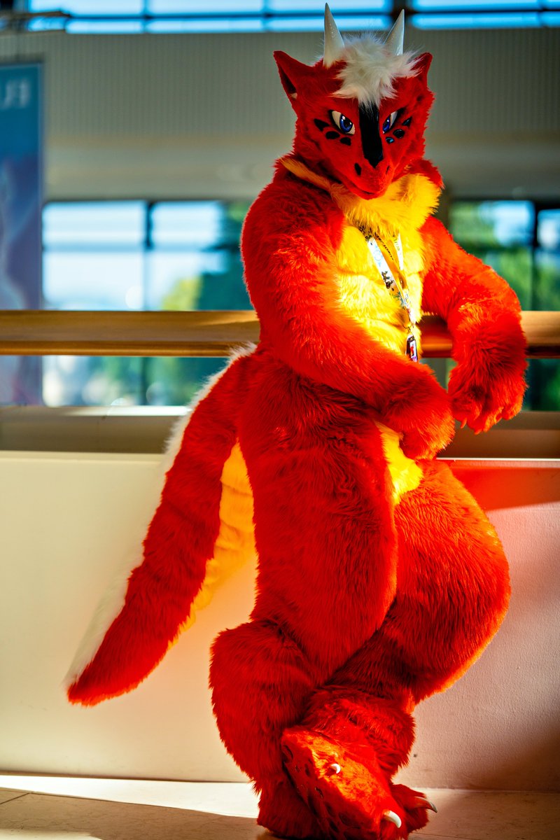 Hochenhain's tweet image. Our year is coming to an end, but not the year of the dragon. That&apos;s why I want to show you Liraxtor. He is big, he is beautiful and he is mysterious. Because I haven&apos;t found a social media account of him🤔. 
Otherwise, I wish you all a happy 2025.
#furry #Fursuit