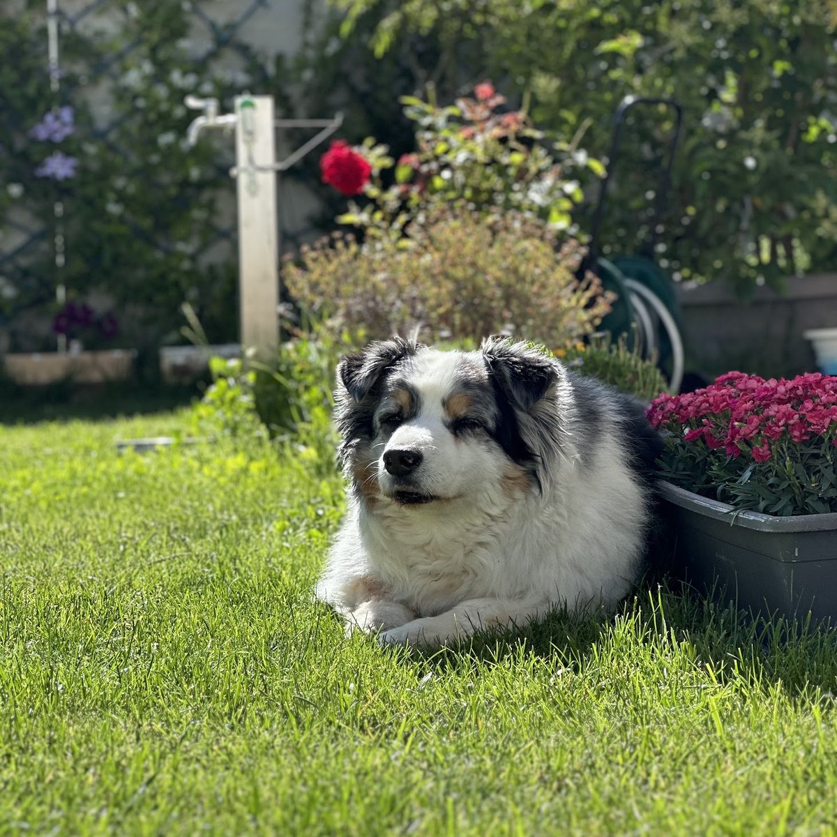 Mario Montes tweet media