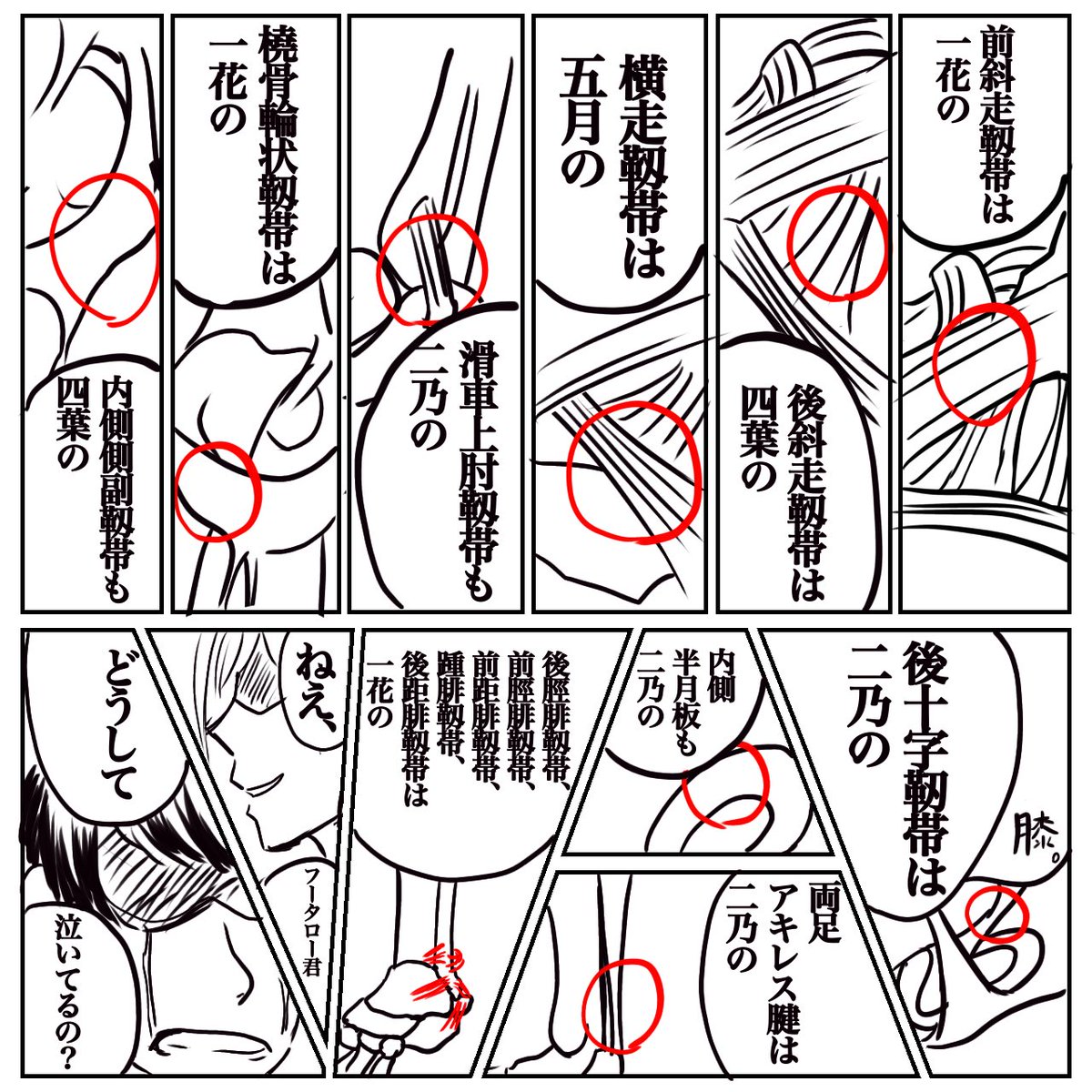 五連投の花嫁 