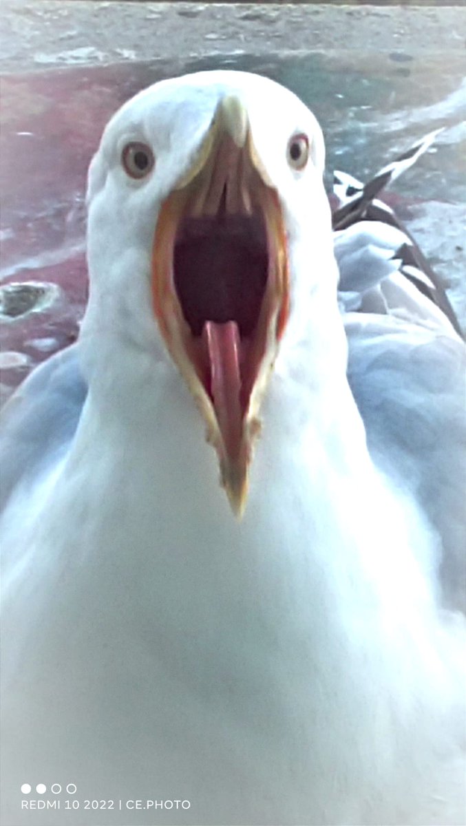 İstediklerinize düşündüğünüzden daha kısa zamanda ulaştığınız ve iyi hissettiğiniz, iyi hissettiğiniz duyguları yakınlarınızla paylaştığınız bir yıl diliyorum. #cengizeren
#zihinseldetoks #nlp #değişim