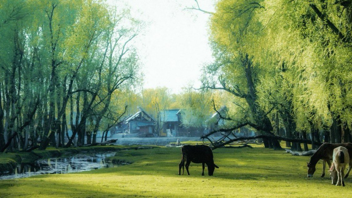 gm! 
Happy tezos Tuesday. Show us your art on tez.
Me &amp; <a href="/kiran46_eth/">Kiran💎</a> are collecting a few pieces from this thread.