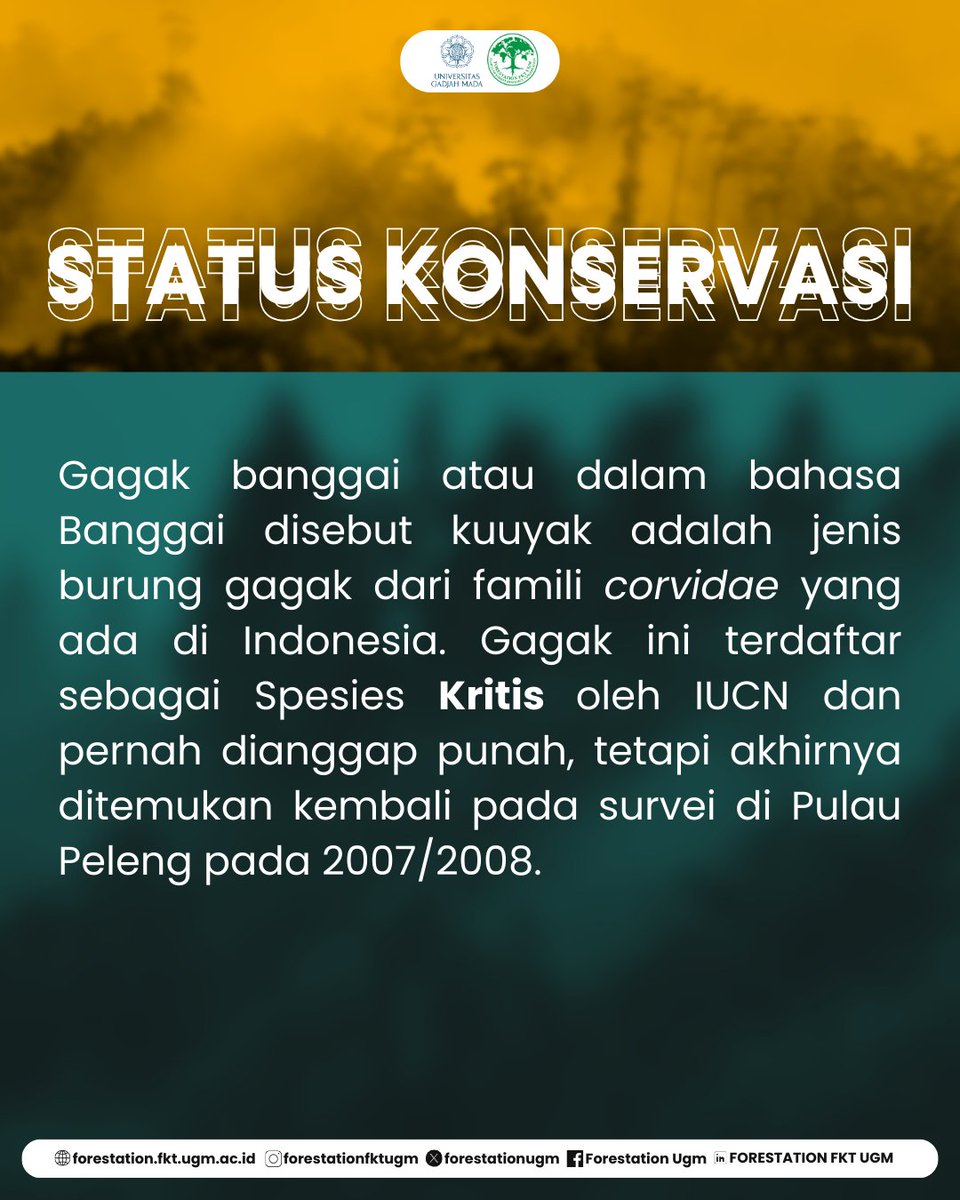 FORESTATIONUGM's tweet photo. [SAPA SATWA #10: GAGAK BANGGAI]

Halo sobat gajah sumatra! 👋🐘

Pada SAPA-SATWA! #10 kali ini, kita akan membahas tentang satwa endemik Indonesia yang masih jarang diketahui, yaitu Gagak Banggai nih sobat!‼️📖

KSDH JAYA!!! https://t.co/bZQKMmlCtE