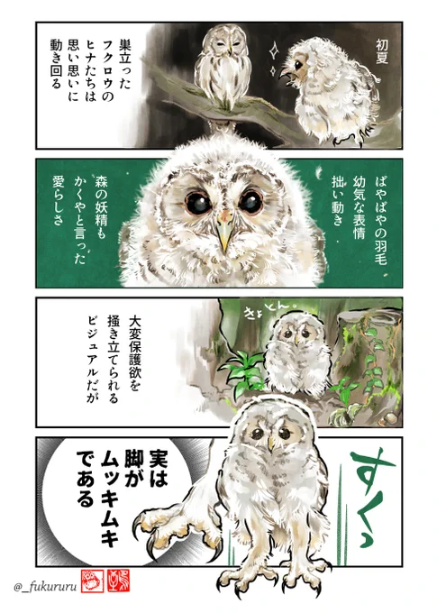 冬至からこっち、ずっと風邪でクリスマスっぽいことも年末っぽいことも何もできませんでした…!!みなさまはどうか体調崩されませんよう…良いお年を〜🦉🦉🦉🦉🦉
#今年も残りわずかなのでお気に入りの4枚を貼る 
#2024年自分が選ぶ今年の4枚 