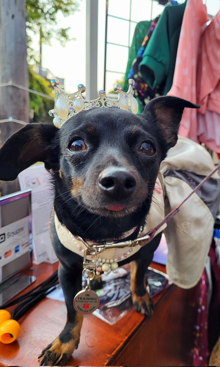 CreaturesCovers's tweet photo. OMD furiends! It's New Year's Eve ✨️  Hu-mom said she just had to do a "year in review" of some of her favorites! (Guess she couldn't pick just one!) Let's see your favorites too of 2024!!!
❤️, Dahlia Rose 🌹 
#ccllc #2024Review https://t.co/ewCnfCgquM