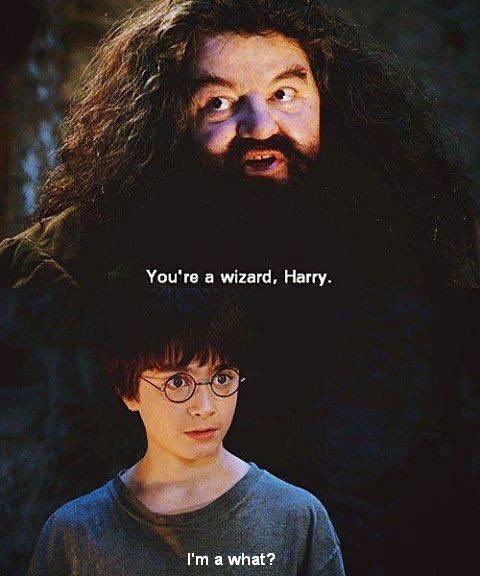 RobbieMurch's tweet photo. @FulhamFC 90 mins +++ when harry became a wizard https://t.co/5xF4zLyfXK
