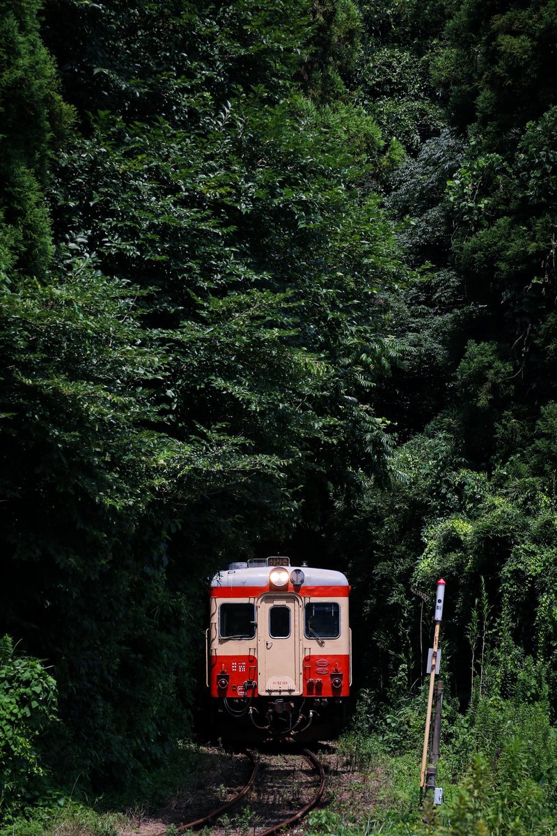 Bokophoto's tweet photo. #写真4枚で1年を振り返る
今年もあまり撮影には行けませんでしたが、たまに撮りに行くのが楽しかったです。良いお年を。 https://t.co/ggJ5RBacUR