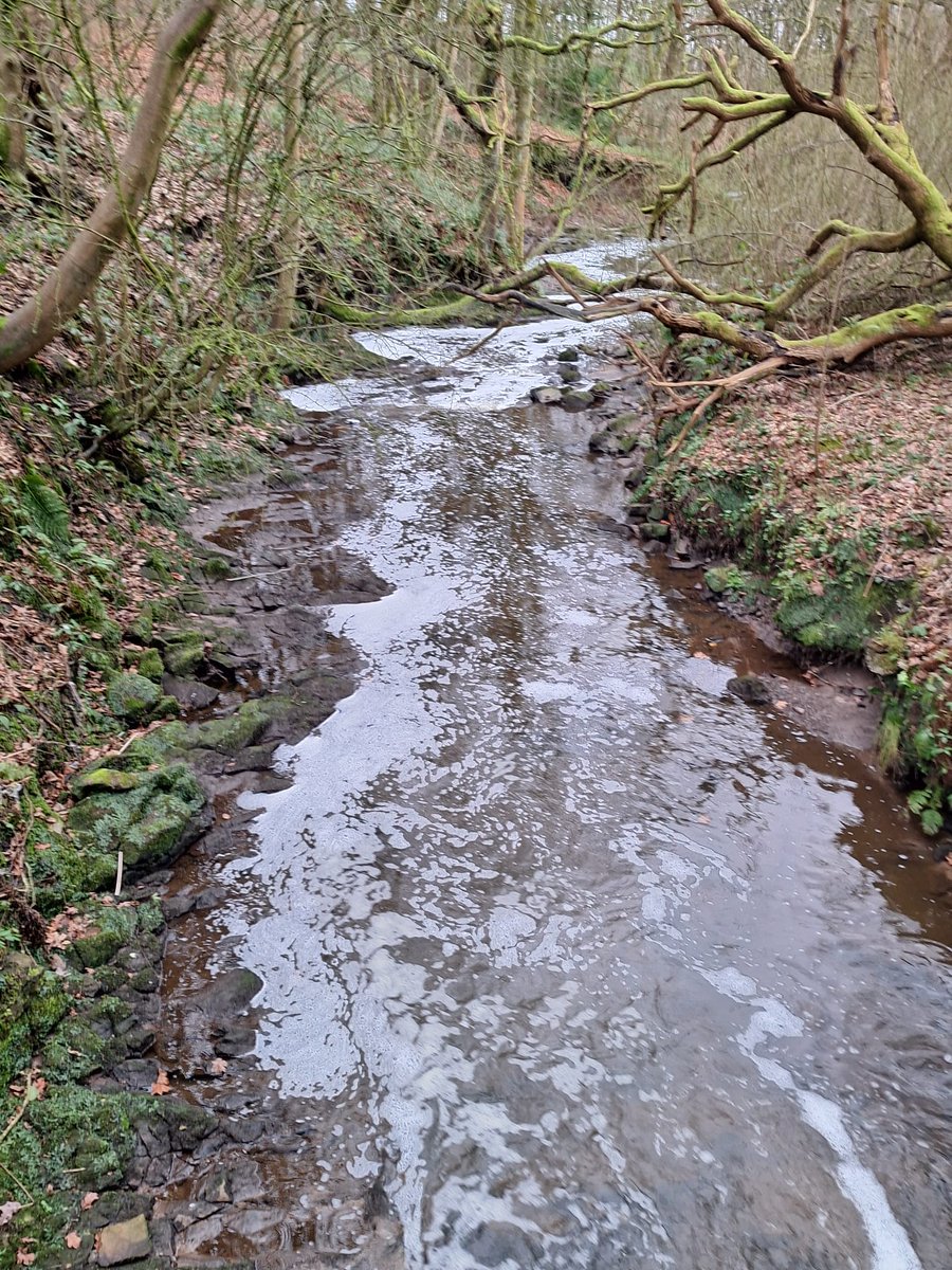We are aware of the pollution spotted in the River Tawd, this morning. We have reported it to the Environment Agency. If you witness a further pollution incident in the Tawd at any time, please call the EA incident hotline on: 0800 80 70 60. Thank you.