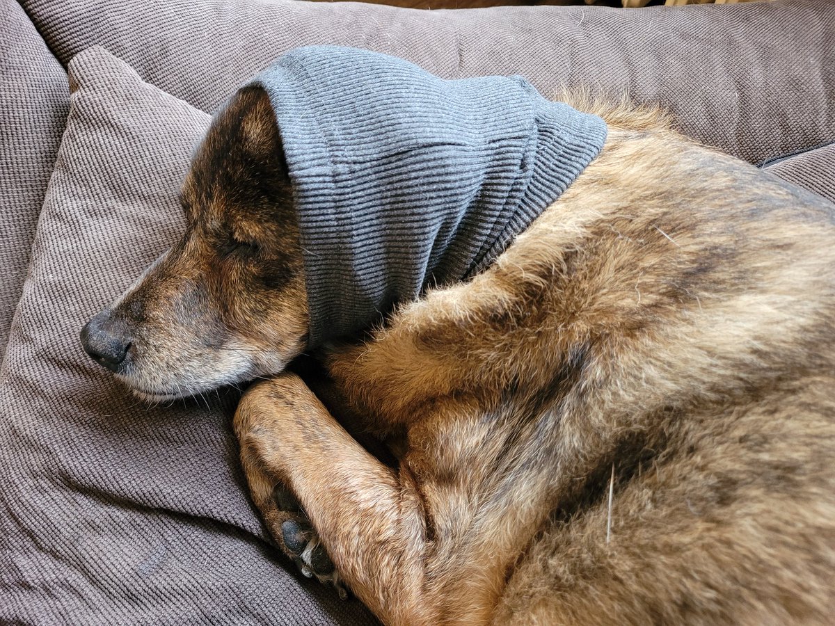 Firework 🎆 proof into 2025. Poor thing. #ny2025 #fireworks #isitoveryet